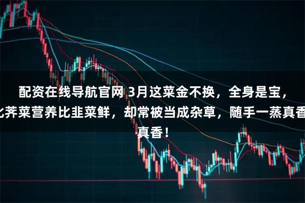 配资在线导航官网 3月这菜金不换，全身是宝，比荠菜营养比韭菜鲜，却常被当成杂草，随手一蒸真香！